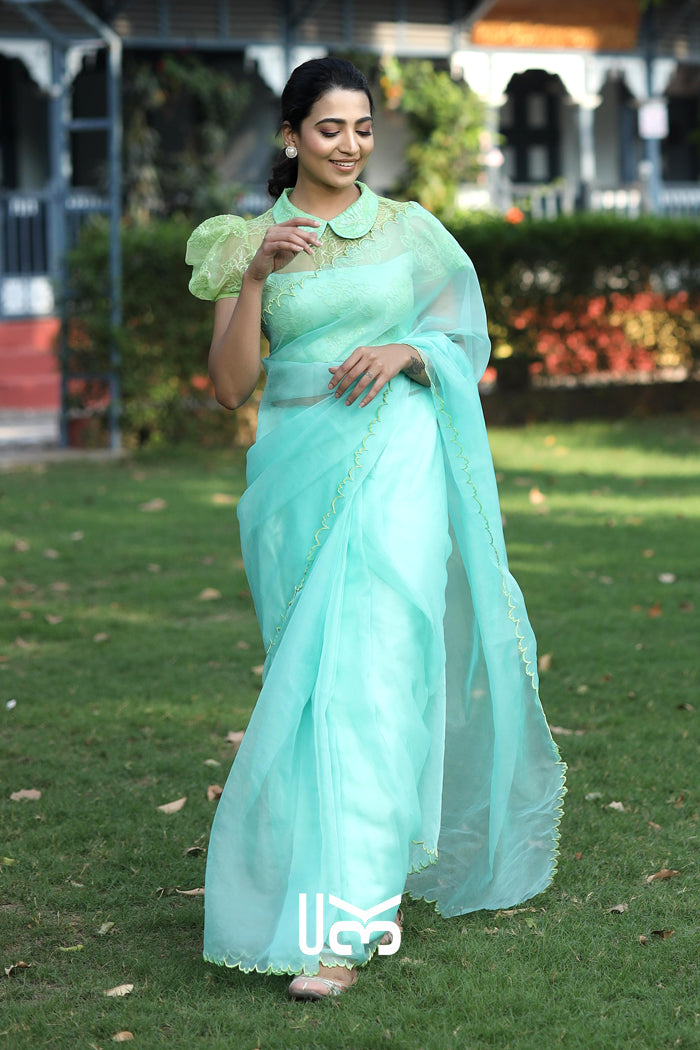 Chal Chalein Organza Saree
