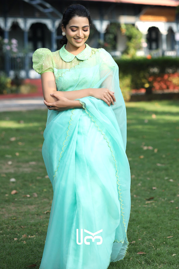 Chal Chalein Organza Saree