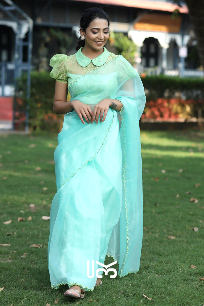 Chal Chalein Organza Saree