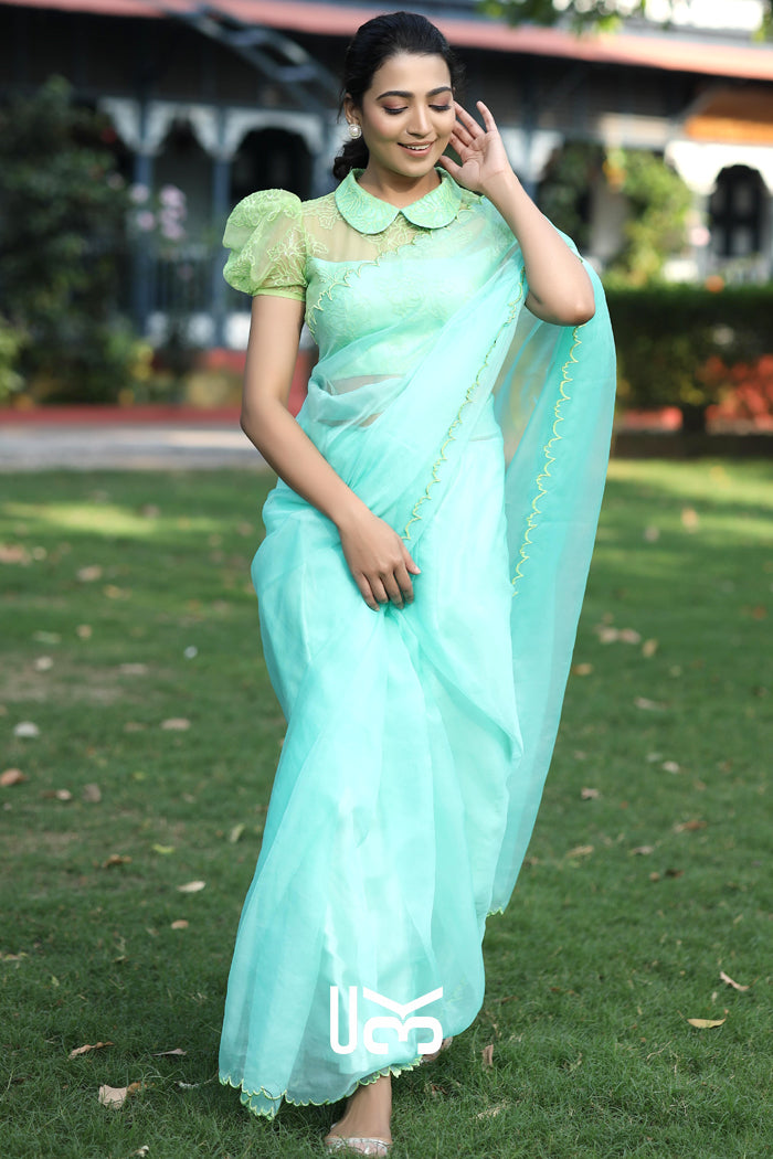 Chal Chalein Organza Saree