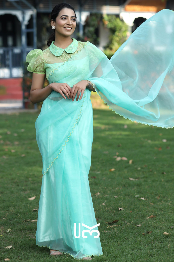 Chal Chalein Organza Saree